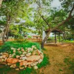 buyukkonuk north cyprus