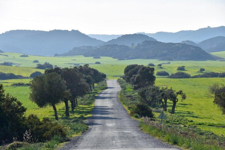 North Cyprus National Park national park north cyprus