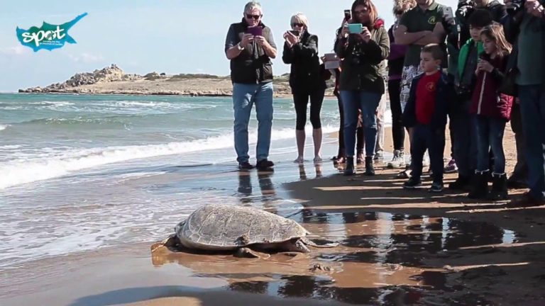 Friends of SPOT, North Cyprus spot north cyprus