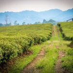 eco tourism north cyprus