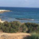 balci plaza north cyprus