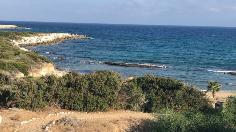 Balcı Plaza, Yenierenköy, North Cyprus balci plaza north cyprus