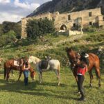 horse riding north cyprus