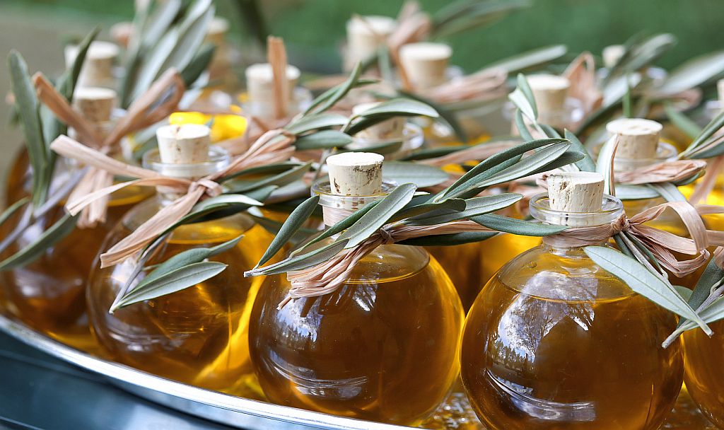 olive season north cyprus